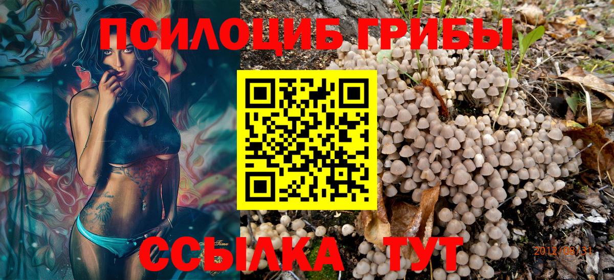 Псилоцибиновые грибы MAGIC MUSHROOMS  Галлюциногенные грибы прущие грибы  Ступино  Вход с VPN 